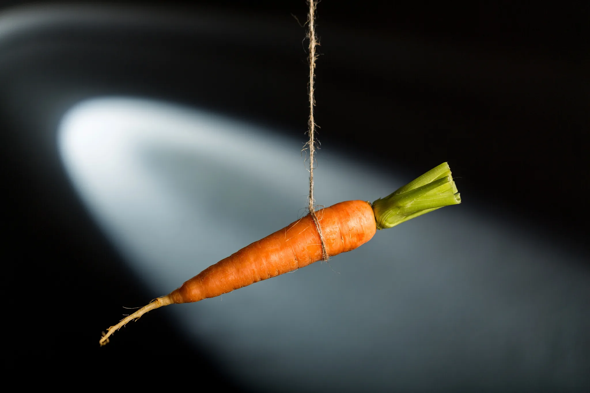 Morot upphängd i snöre – symbol för motivation, incitament och tips inom förhandling och sälj.