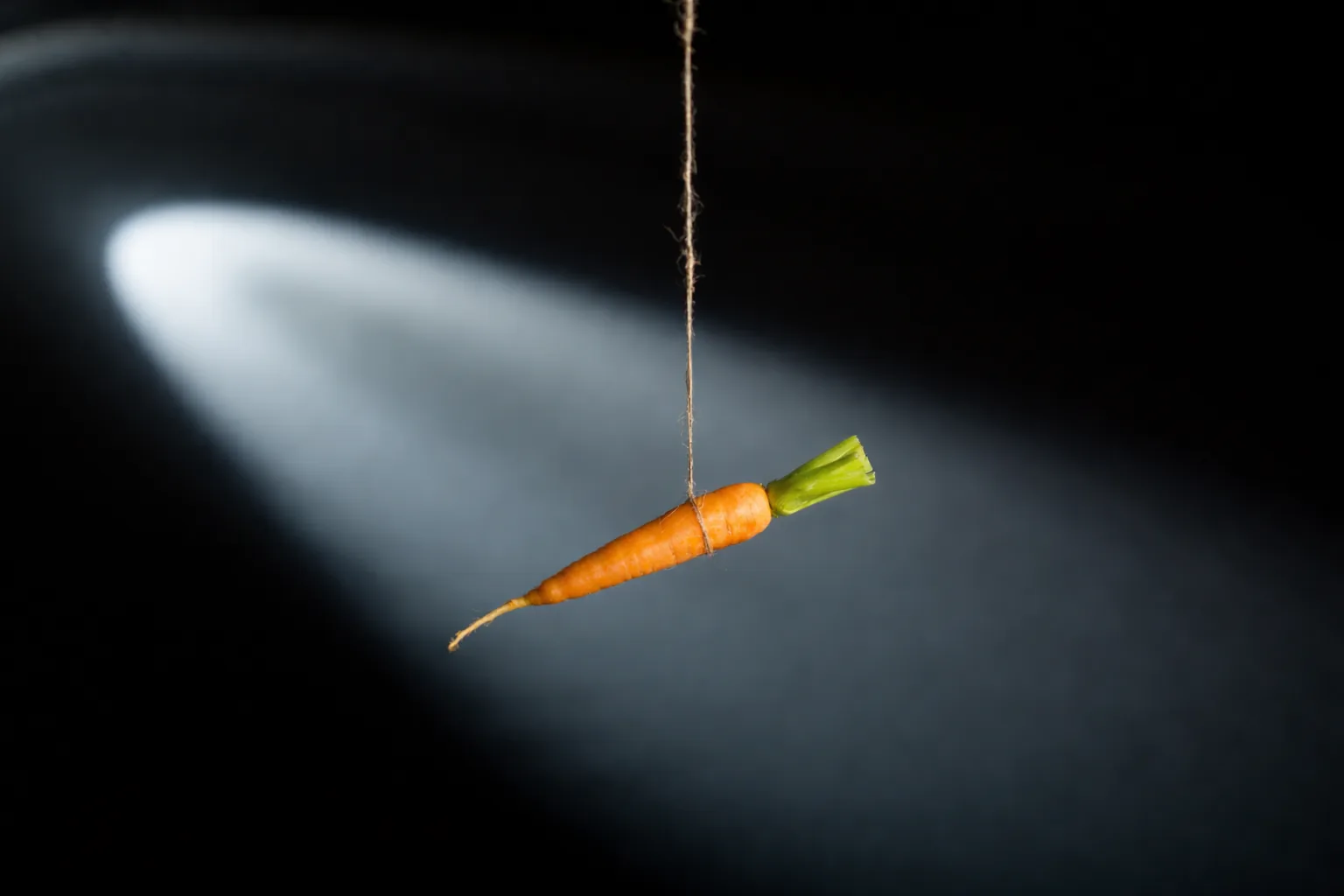 Morot upphängd i snöre – symbol för motivation, incitament och tips inom förhandling och sälj.